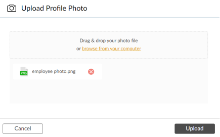 A screenshot of a computer

Description automatically generated